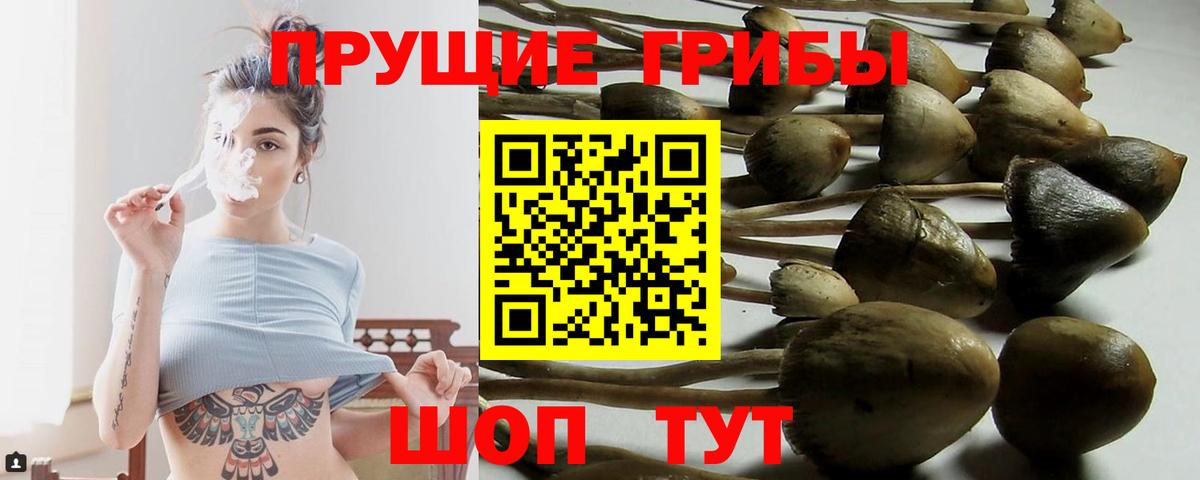 МАРИХУАНА Ульяновск